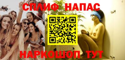 прущие грибы Апшеронск